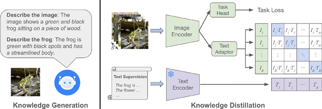 Figure 3 for VLM-KD: Knowledge Distillation from VLM for Long-Tail Visual Recognition