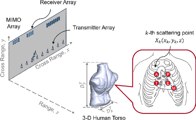 Figure 1 for Noncontact Multi-Point Vital Sign Monitoring with mmWave MIMO Radar