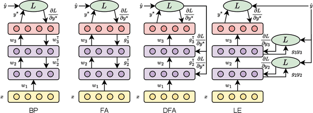 Figure 1 for Toward Spiking Neural Network Local Learning Modules Resistant to Adversarial Attacks