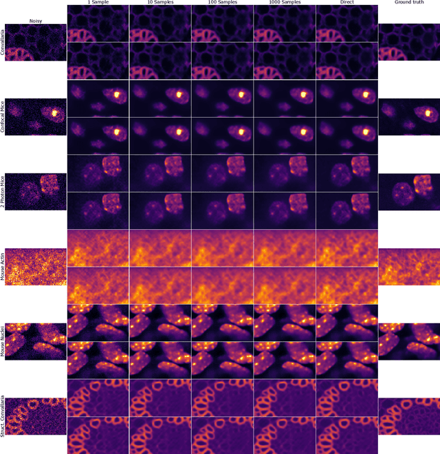 Figure 4 for Direct Unsupervised Denoising
