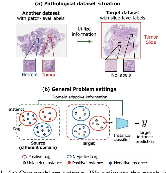Figure 1 for Domain Adaptive Multiple Instance Learning for Instance-level Prediction of Pathological Images