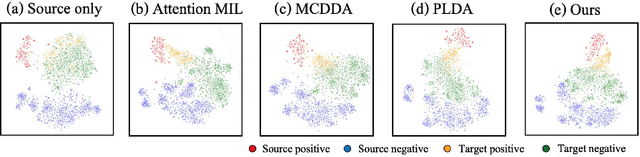 Figure 4 for Domain Adaptive Multiple Instance Learning for Instance-level Prediction of Pathological Images