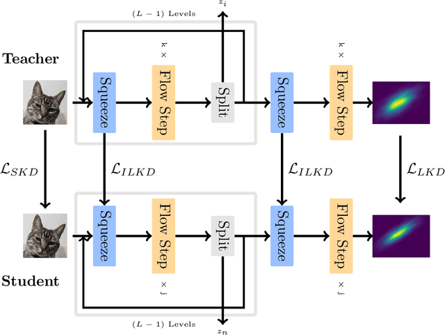 Figure 1 for Distilling Normalizing Flows