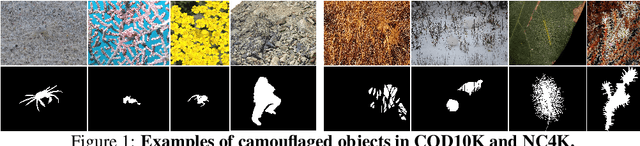 Figure 1 for A Revisit to the Decoder for Camouflaged Object Detection