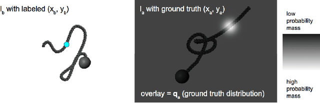 Figure 4 for Learning Correspondence for Deformable Objects