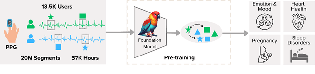 Figure 1 for PaPaGei: Open Foundation Models for Optical Physiological Signals