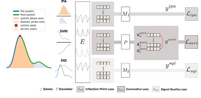 Figure 3 for PaPaGei: Open Foundation Models for Optical Physiological Signals