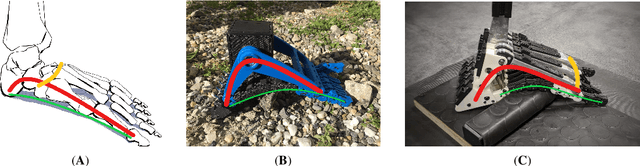 Figure 1 for Investigating the Performance of Soft Robotic Adaptive Feet with Longitudinal and Transverse Arches