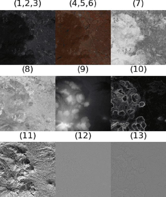 Figure 4 for Jalisco's multiclass land cover analysis and classification using a novel lightweight convnet with real-world multispectral and relief data