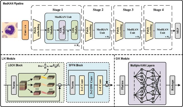 Figure 1 for MedKAN: An Advanced Kolmogorov-Arnold Network for Medical Image Classification