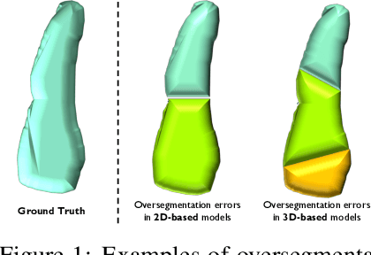 Figure 1 for Geometric Framework for 3D Cell Segmentation Correction