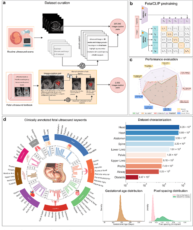 Figure 1 for FetalCLIP: A Visual-Language Foundation Model for Fetal Ultrasound Image Analysis