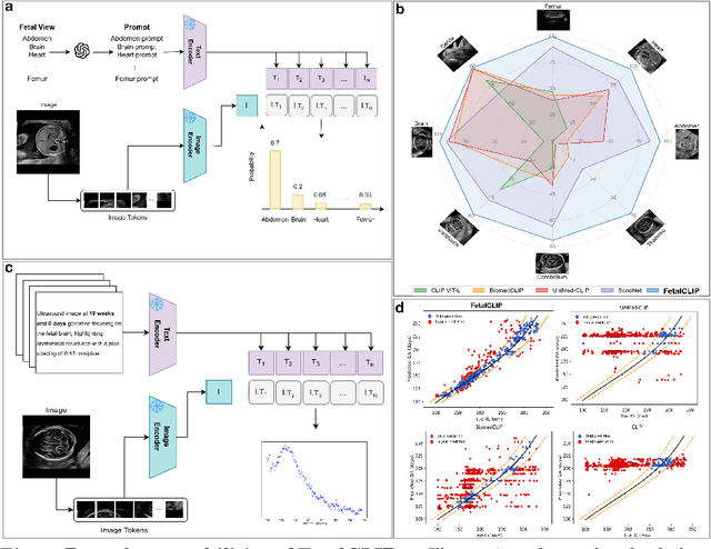 Figure 2 for FetalCLIP: A Visual-Language Foundation Model for Fetal Ultrasound Image Analysis