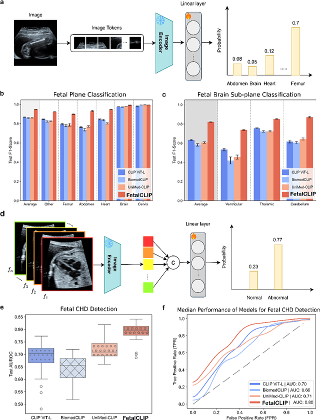 Figure 3 for FetalCLIP: A Visual-Language Foundation Model for Fetal Ultrasound Image Analysis