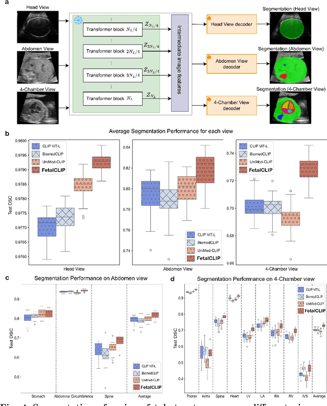 Figure 4 for FetalCLIP: A Visual-Language Foundation Model for Fetal Ultrasound Image Analysis
