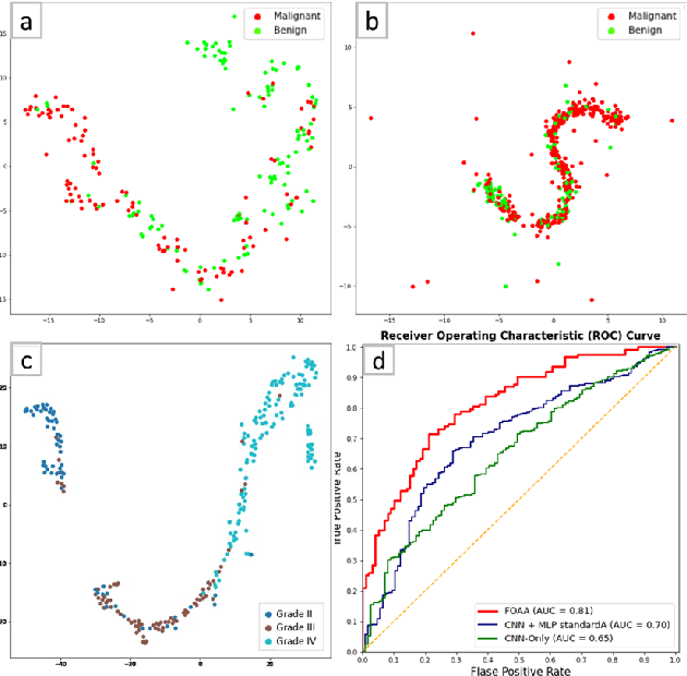 Figure 3 for FOAA: Flattened Outer Arithmetic Attention For Multimodal Tumor Classification