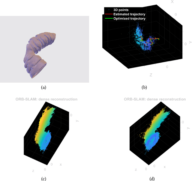 Figure 4 for 3D Reconstruction of the Human Colon from Capsule Endoscope Video