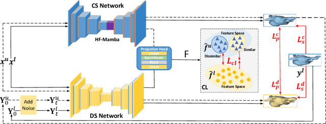 Figure 1 for Diff-CL: A Novel Cross Pseudo-Supervision Method for Semi-supervised Medical Image Segmentation