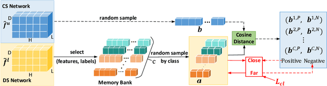 Figure 3 for Diff-CL: A Novel Cross Pseudo-Supervision Method for Semi-supervised Medical Image Segmentation
