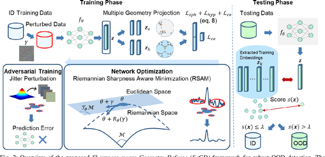 Figure 2 for Sharpness-Aware Geometric Defense for Robust Out-Of-Distribution Detection