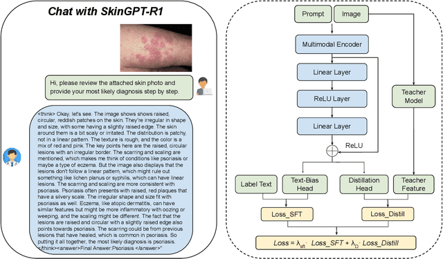 Figure 1 for SkinGPT-R1: Adapter-Only Dual Distillation for Efficient Dermatology Reasoning