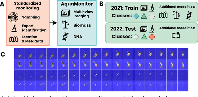 Figure 2 for AquaMonitor: A multimodal multi-view image sequence dataset for real-life aquatic invertebrate biodiversity monitoring