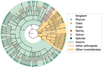 Figure 4 for AquaMonitor: A multimodal multi-view image sequence dataset for real-life aquatic invertebrate biodiversity monitoring