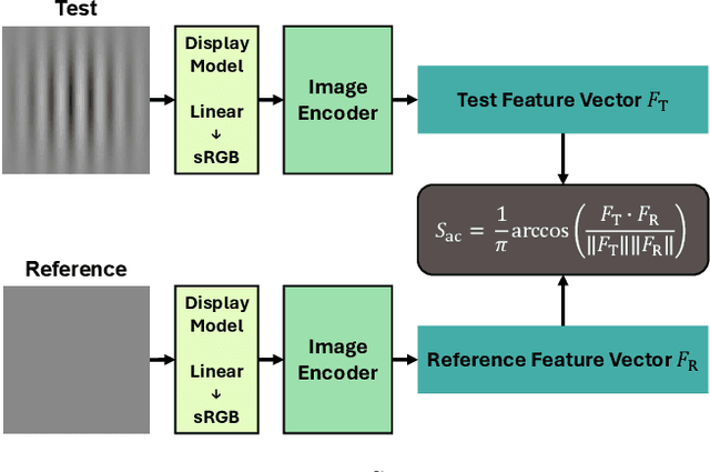 Figure 3 for Do computer vision foundation models learn the low-level characteristics of the human visual system?