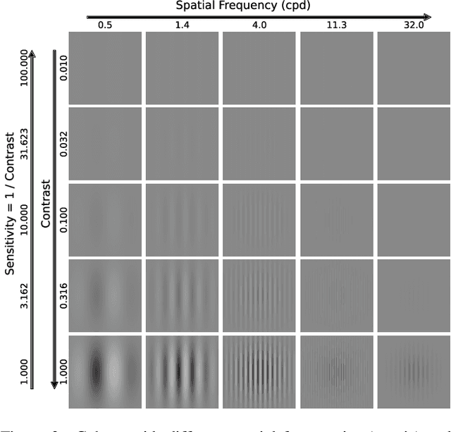 Figure 4 for Do computer vision foundation models learn the low-level characteristics of the human visual system?