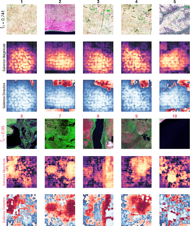 Figure 4 for CausalImages: An R Package for Causal Inference with Earth Observation, Bio-medical, and Social Science Images