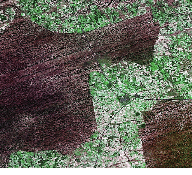 Figure 1 for CausalImages: An R Package for Causal Inference with Earth Observation, Bio-medical, and Social Science Images