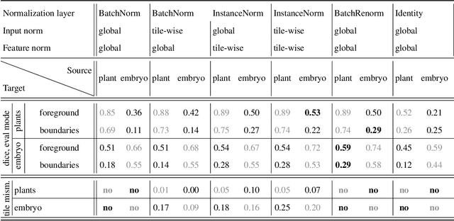 Figure 3 for Tiling artifacts and trade-offs of feature normalization in the segmentation of large biological images
