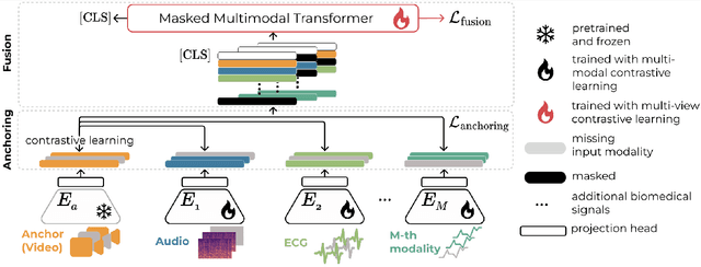 Figure 1 for ADAPT: Multimodal Learning for Detecting Physiological Changes under Missing Modalities