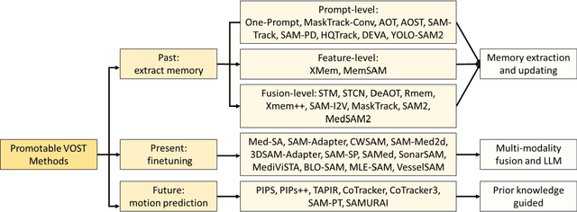 Figure 4 for Segment Anything for Video: A Comprehensive Review of Video Object Segmentation and Tracking from Past to Future