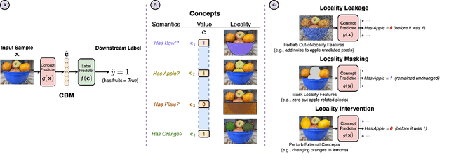 Figure 1 for Do Concept Bottleneck Models Obey Locality?