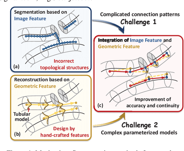 Figure 1 for DeepBranchTracer: A Generally-Applicable Approach to Curvilinear Structure Reconstruction Using Multi-Feature Learning