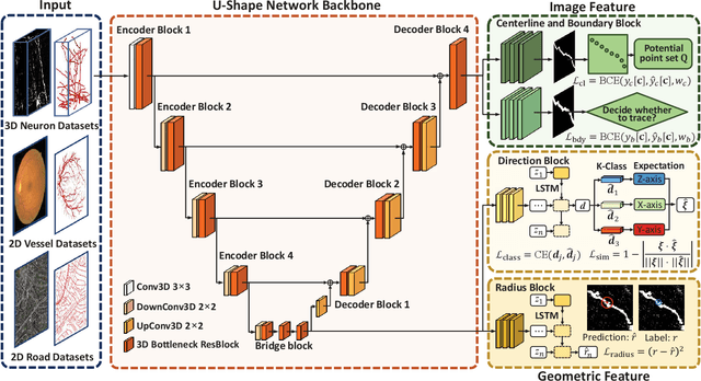 Figure 3 for DeepBranchTracer: A Generally-Applicable Approach to Curvilinear Structure Reconstruction Using Multi-Feature Learning