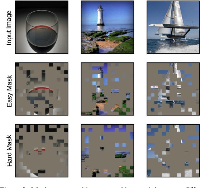 Figure 4 for CL-MAE: Curriculum-Learned Masked Autoencoders