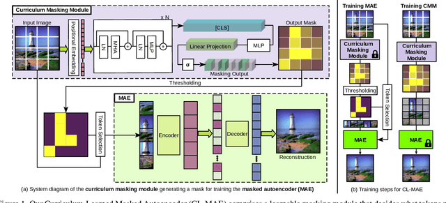 Figure 1 for CL-MAE: Curriculum-Learned Masked Autoencoders