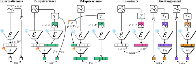 Figure 1 for Towards a Unified Representation Evaluation Framework Beyond Downstream Tasks