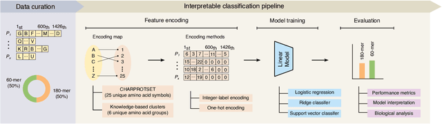 Figure 1 for Classifying the Stoichiometry of Virus-like Particles with Interpretable Machine Learning