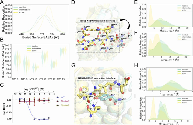 Figure 3 for Deciphering the unique dynamic activation pathway in a G protein-coupled receptor enables unveiling biased signaling and identifying cryptic allosteric sites in conformational intermediates