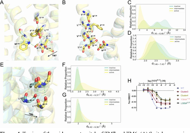 Figure 4 for Deciphering the unique dynamic activation pathway in a G protein-coupled receptor enables unveiling biased signaling and identifying cryptic allosteric sites in conformational intermediates