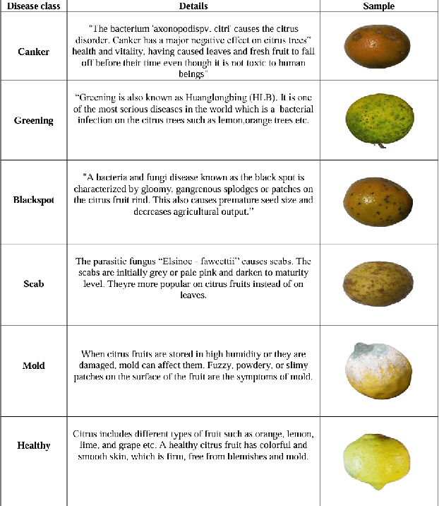 Figure 4 for Lemon and Orange Disease Classification using CNN-Extracted Features and Machine Learning Classifier