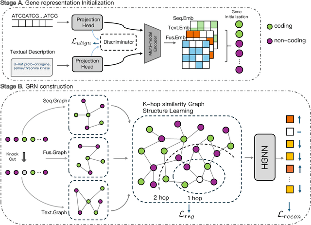 Figure 3 for GRAPE: Heterogeneous Graph Representation Learning for Genetic Perturbation with Coding and Non-Coding Biotype