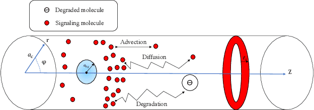 Figure 1 for Deep Learning Surrogate for Fast CIR Prediction in Reactive Molecular Diffusion Advection Channels