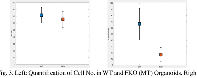 Figure 2 for Automatic Quantitative Analysis of Brain Organoids via Deep Learning
