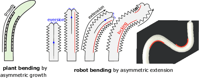 Figure 1 for High-curvature, high-force, vine robot for inspection