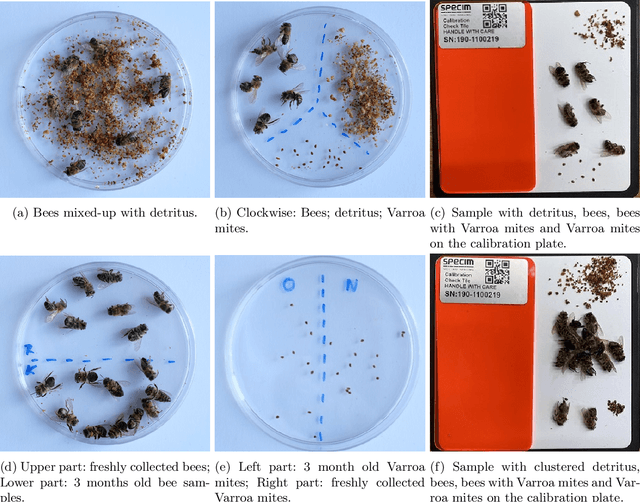 Figure 1 for Varroa destructor detection on honey bees using hyperspectral imagery
