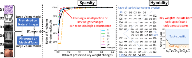 Figure 3 for Sparsity- and Hybridity-Inspired Visual Parameter-Efficient Fine-Tuning for Medical Diagnosis
